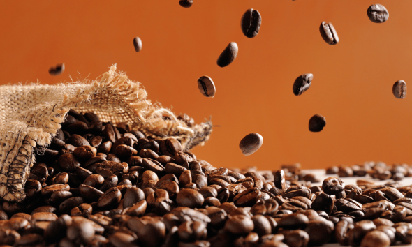 Coffe & Cocoa PT. Sinar Gowa Industri Mineral