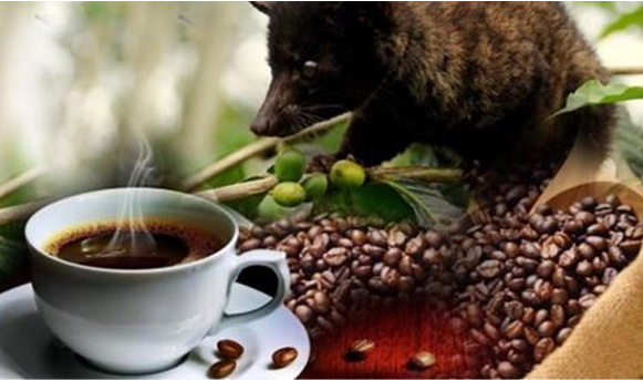 Coffe & Cocoa PT. Sinar Gowa Industri Mineral